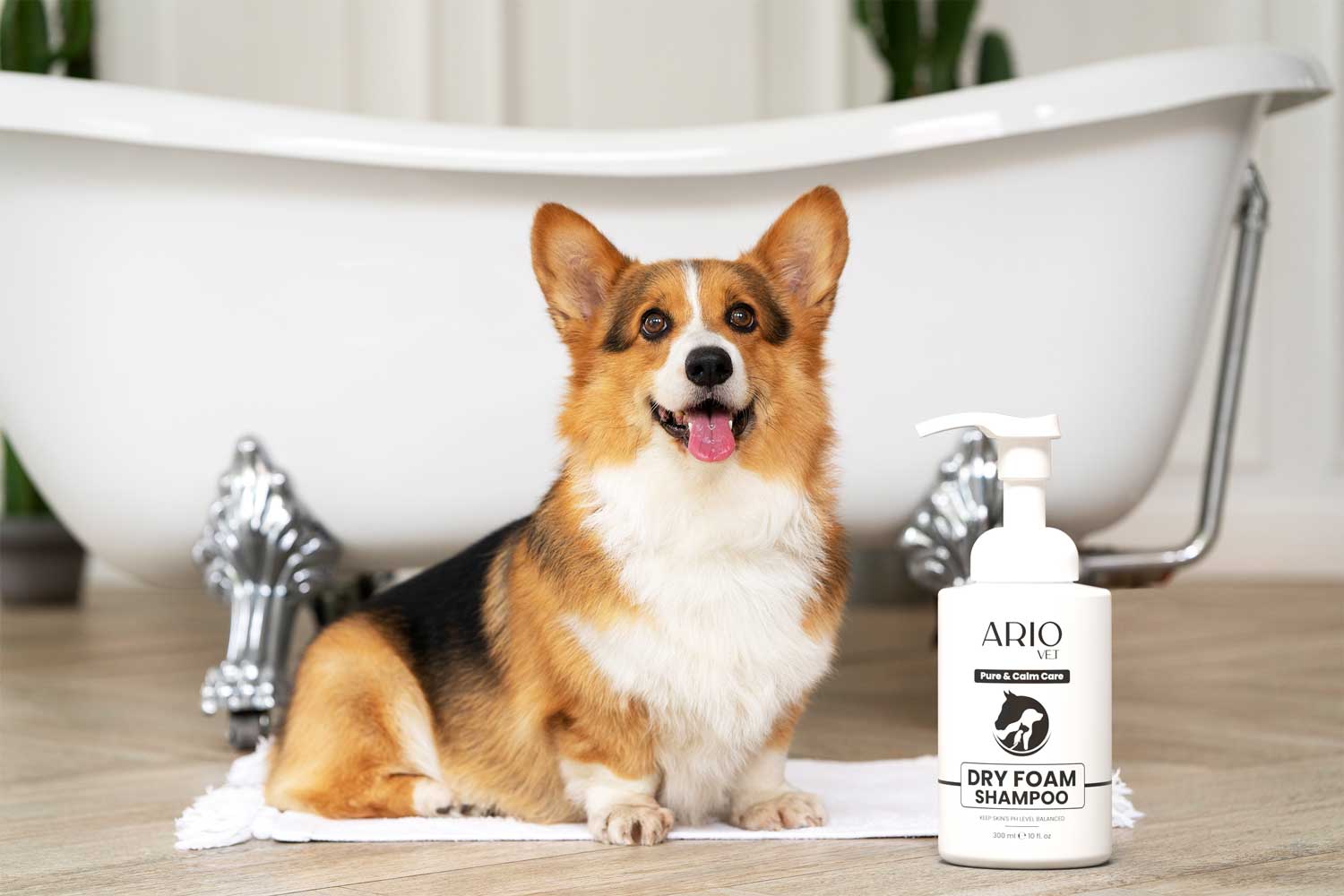 Veterinary - Dry Foam Shampoo - Lifestyle